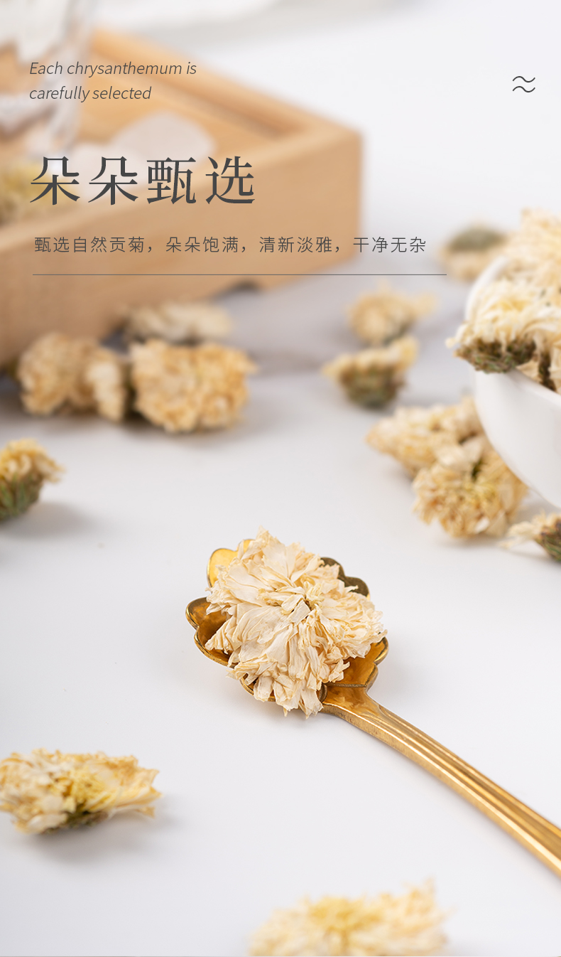 贡菊-03.jpg