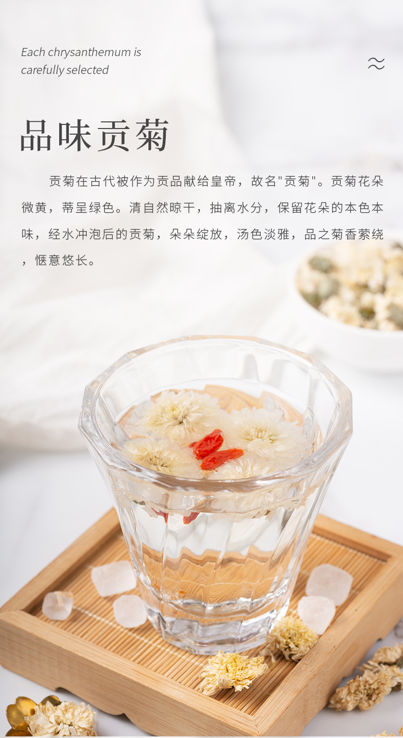贡菊-02.jpg