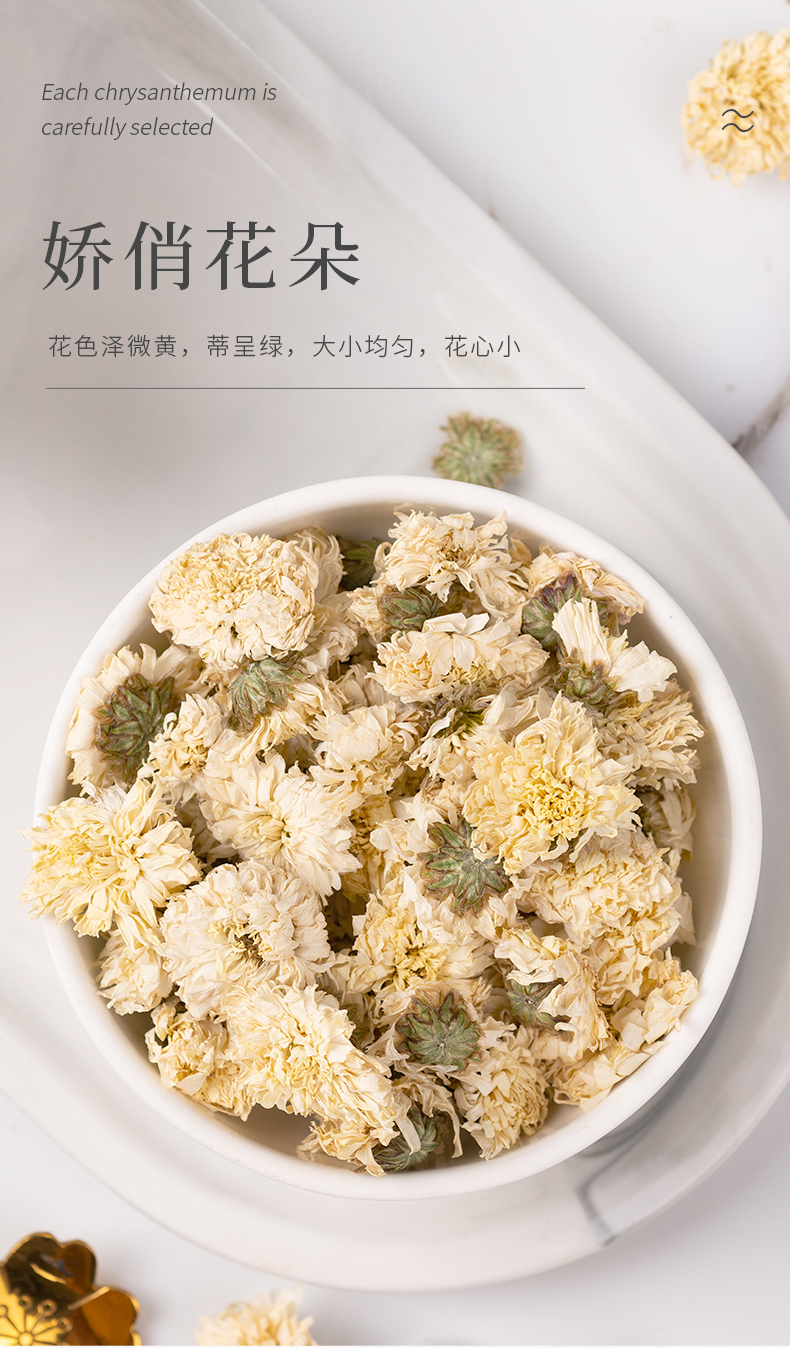 贡菊-04.jpg