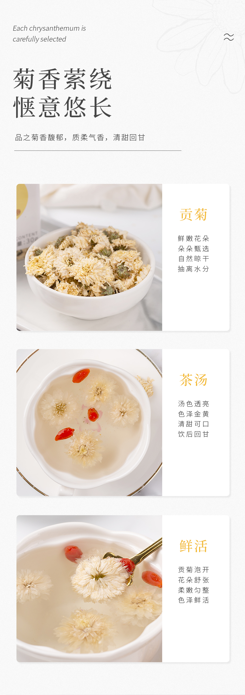 贡菊-05.jpg