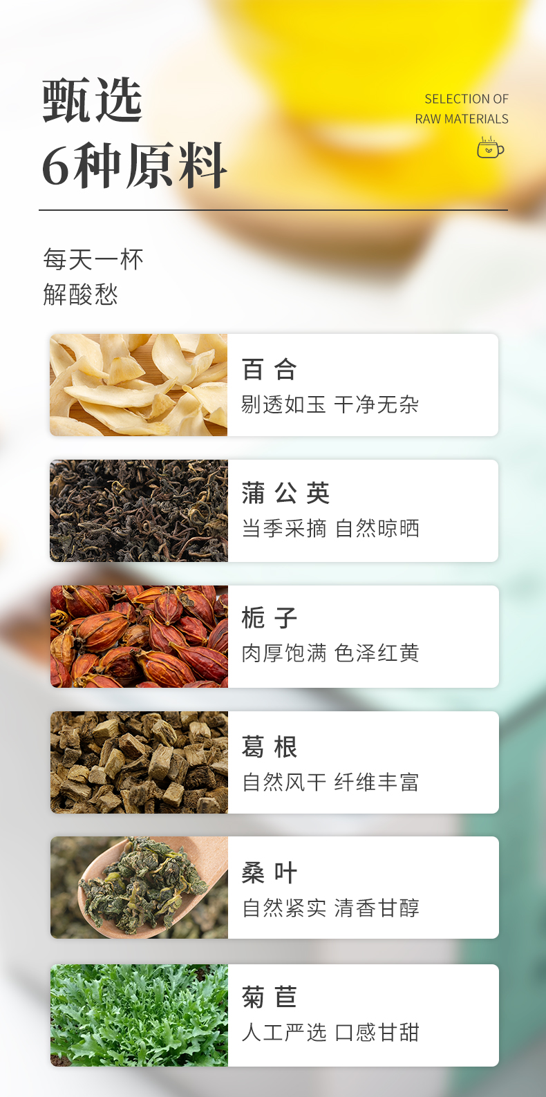 菊苣栀子茶_03.jpg
